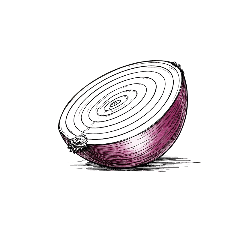 Onion icon